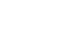 decizion-white